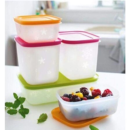 Tupperware Alaska 5'li Set VFLY