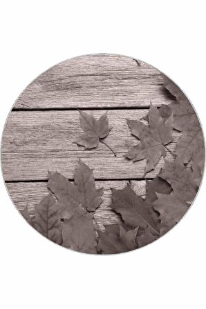 Gri Çınar 3D Kaymaz Tabanlı Yuvarlak Hol Halısı AR412