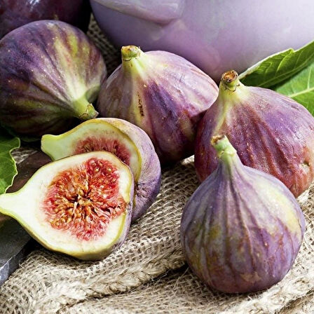 Tüplü Yediveren Bolveren Yappinti Karim Agha İnciri Fidanı