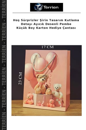 Hoş Sürprizler Şirin Tasarım Kutlama Detayı Ayıcık Desenli Pembe Küçük Boy Karton Hediye Çantası
