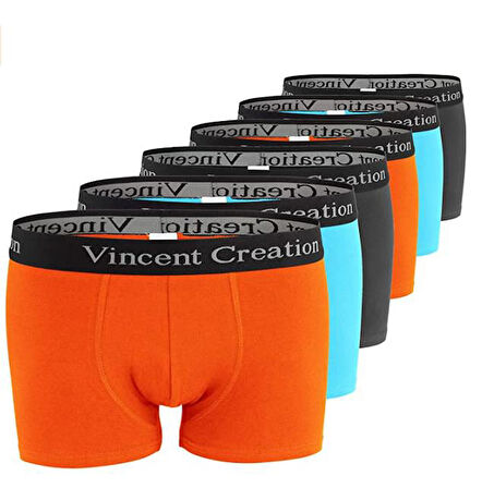 ALEXANDERGARDI 6'LI EKONOMİK PAKET ERKEK BOXER SETİ (VİNCENTCREATİON-02)