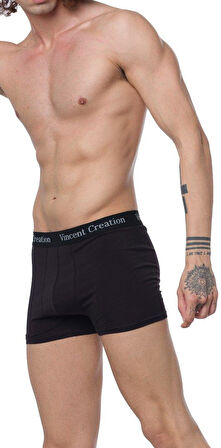 ALEXANDERGARDI 6'LI EKONOMİK PAKET ERKEK BOXER SETİ (VİNCENTCREATİON-02)