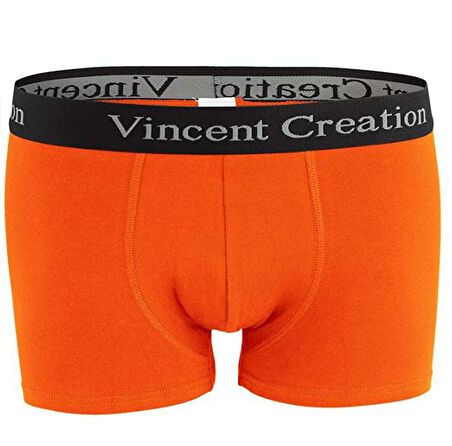 ALEXANDERGARDI 6'LI EKONOMİK PAKET ERKEK BOXER SETİ (VİNCENTCREATİON-02)