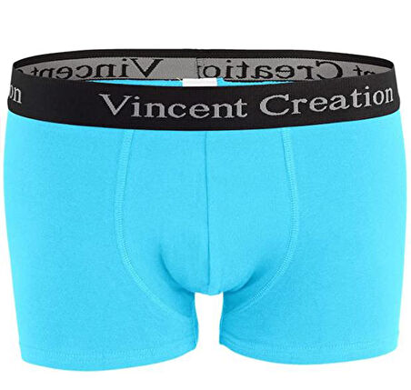 ALEXANDERGARDI 6'LI EKONOMİK PAKET ERKEK BOXER SETİ (VİNCENTCREATİON-02)