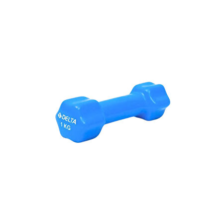 DELTA 1 KG PVC AĞIRLIK