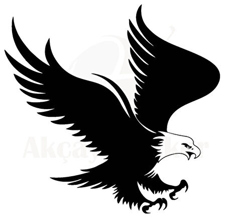 Kartal Tasarım Sticker 30 x 30 Cm