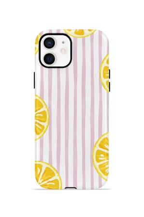 iPhone 11 Valestra Çift Katmanlı Kılıf Briris