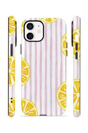 iPhone 11 Valestra Çift Katmanlı Kılıf Briris