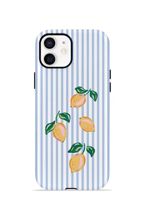 iPhone 12 Valestra Çift Katmanlı Kılıf Ilyya