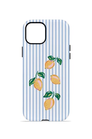iPhone 12 Valestra Çift Katmanlı Kılıf Ilyya