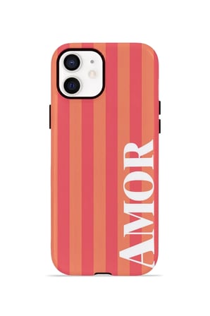 iPhone 12 Valestra Çift Katmanlı Kılıf Iranora