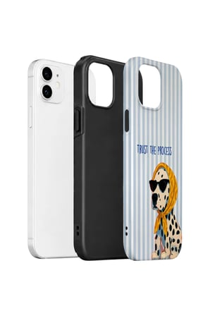 iPhone 12 Valestra Çift Katmanlı Kılıf Quaya