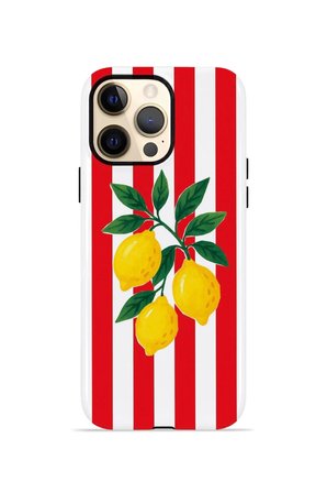 iPhone 12 Pro Valestra Çift Katmanlı Kılıf Liodor