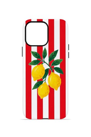 iPhone 12 Pro Valestra Çift Katmanlı Kılıf Liodor
