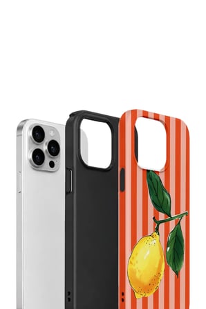 iPhone 12 Pro Valestra Çift Katmanlı Kılıf Valnora