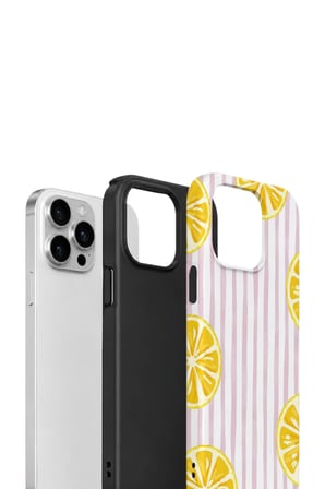 iPhone 12 Pro Valestra Çift Katmanlı Kılıf Briris