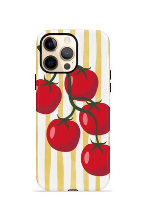 iPhone 12 Pro Valestra Çift Katmanlı Kılıf Corna