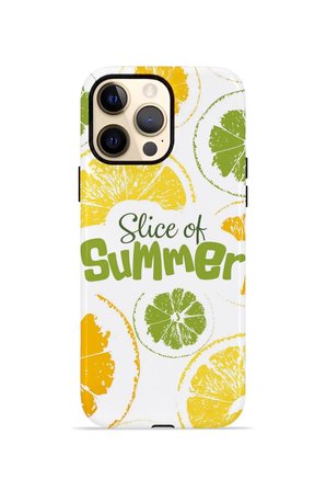iPhone 12 Pro Valestra Çift Katmanlı Kılıf Avavora
