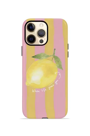 iPhone 12 Pro Max Valestra Çift Katmanlı Kılıf Sallia