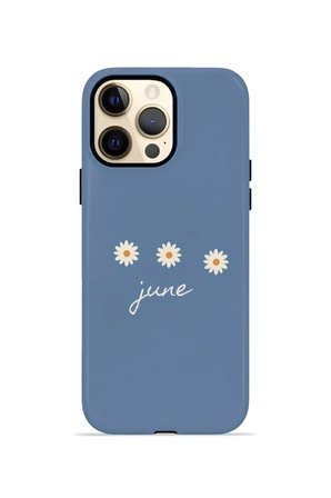 iPhone 12 Pro Max Valestra Çift Katmanlı Kılıf Galna