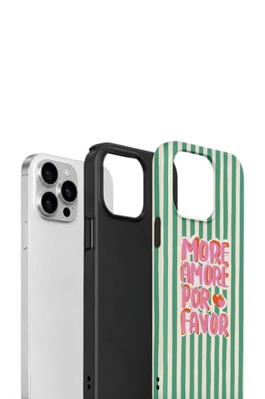 iPhone 12 Pro Max Valestra Çift Katmanlı Kılıf Valluna