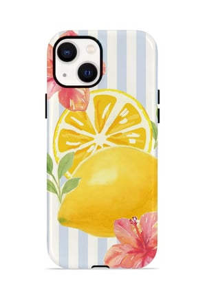 iPhone 13 Valestra Çift Katmanlı Kılıf Zorarin