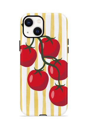 iPhone 13 Valestra Çift Katmanlı Kılıf Corna