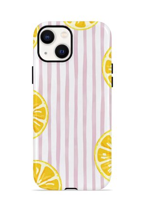 iPhone 15 Valestra Çift Katmanlı Kılıf Briris