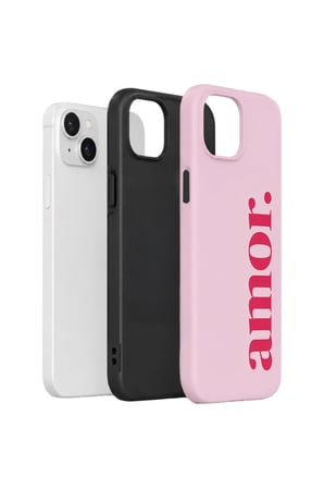 iPhone 15 Valestra Çift Katmanlı Kılıf Quaria