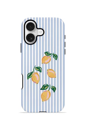 iPhone 16 Valestra Çift Katmanlı Kılıf Ilyya