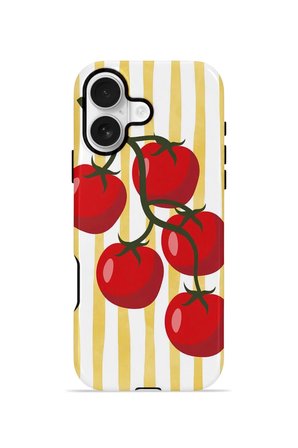 iPhone 16 Valestra Çift Katmanlı Kılıf Corna