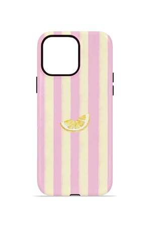 iPhone 13 Pro Valestra Çift Katmanlı Kılıf Evorin