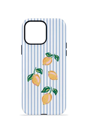 iPhone 13 Pro Max Valestra Çift Katmanlı Kılıf Ilyya