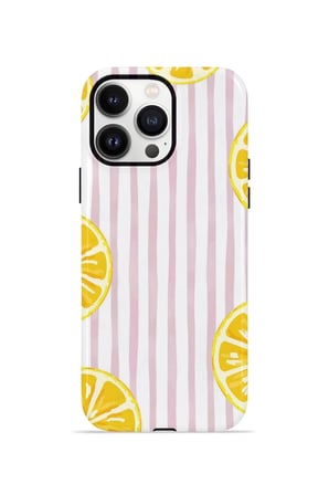 iPhone 13 Pro Max Valestra Çift Katmanlı Kılıf Briris