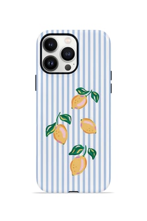 iPhone 14 Pro Max Valestra Çift Katmanlı Kılıf Ilyya