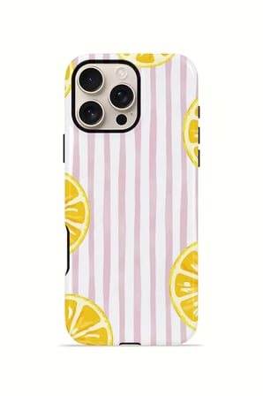 iPhone 16 Pro Max Valestra Çift Katmanlı Kılıf Briris