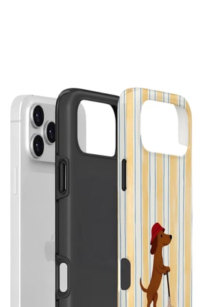 iPhone 17 Pro Valestra Çift Katmanlı Kılıf Solluna