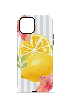 iPhone 15 Plus Valestra Çift Katmanlı Kılıf Zorarin
