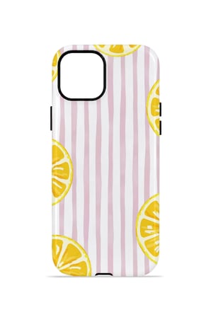 iPhone 15 Plus Valestra Çift Katmanlı Kılıf Briris