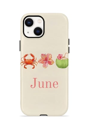 iPhone 15 Plus Valestra Çift Katmanlı Kılıf Salnora