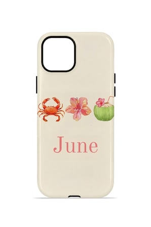 iPhone 15 Plus Valestra Çift Katmanlı Kılıf Salnora