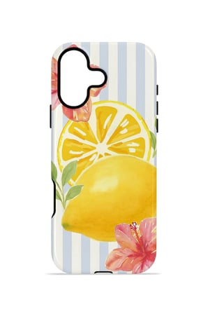 iPhone 16 Plus Valestra Çift Katmanlı Kılıf Zorarin