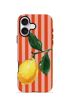 iPhone 16 Plus Valestra Çift Katmanlı Kılıf Valnora