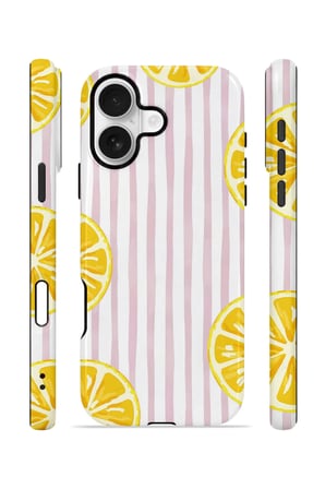 iPhone 16 Plus Valestra Çift Katmanlı Kılıf Briris