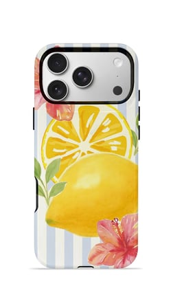 iPhone 17 Pro Valestra Çift Katmanlı MagSafe Kılıf Zorarin