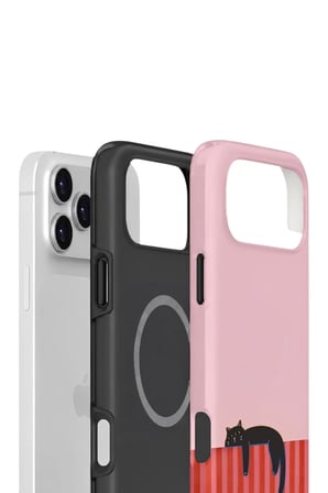 iPhone 17 Pro Valestra Çift Katmanlı MagSafe Kılıf Belra
