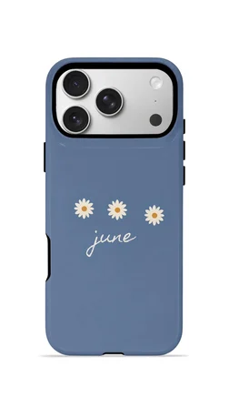 iPhone 17 Pro Max Valestra Çift Katmanlı MagSafe Kılıf Galna