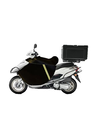 Dizlikörtü(HONDAACTIVAS-SPACY)