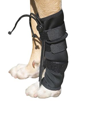  Köpek Ön Ayak Düzleştirici - Large