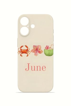 iPhone 16 Plus Vorian İnce Kamera Korumalı Mika Kılıf June Seaside